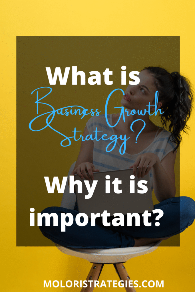Business Growth Strategy Molori Strategies